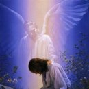 새벽(주) 이미지