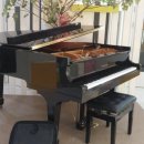 신성음악학원 이미지