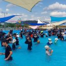 낙동강변19 이미지