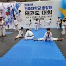 용인대박사태권도장 이미지