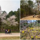 우리가 가꾸는 꽃길 이미지