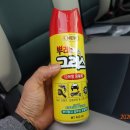 백우관광