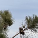 642 | ⛰️ [부산 백양산(642m)] 만덕디지털도서관 주차 &amp; 핫플 '우리장 만덕본점' 후기