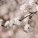 임하초교 이미지