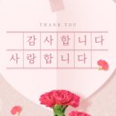 용인대청아태권도 - 화성시 동탄대로4길 39 | 용인대청아태권도