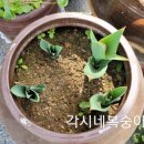 이원심천로 이미지