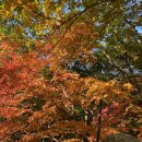 CU편의점 앞(당동리 915-4) | 도봉산 등산코스 마당바위기점 쉬운 단풍코스 즐기기