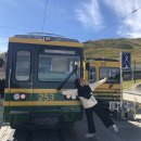 동산동신 | 인터라켄 3박 4일 여행일정과 융프라우 왕복 가격 및 후기