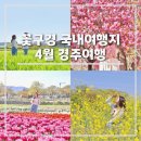 대릉원스테이 | 청보리밭 유채꽃 겹벚꽃 튤립까지 볼 수 있는 4월 국내여행지 경주여행