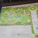 한밭배터리 | &#34;5월 대전 가볼만한 장소, 아기랑 아이와 함께, 대전 가볼만한곳 한밭수목원 봄나들이 피크닉&#34;
