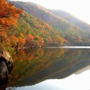 주산지 티스토리