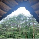 박씨축산 이미지