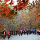 피아골 단풍공원 이미지