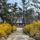 은파미용실 | 4월 월간 일기 | 봄꽃과 여행과 공연과 전시와 함께