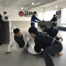 산본주짓수 네이버블로그