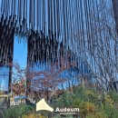 심장박물관 | 오디움박물관 예약 방법 및 꿀팁 및 도슨트 투어 방문 후기