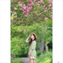 (마감)8월3일(월)용산 국립중앙박물관 배롱나무출사 이미지