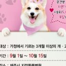 이의종동물병원 이미지