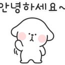 피자알볼로 기장일광점