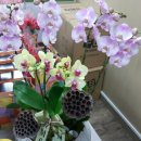 한우리부동산중개 이미지