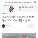 2억년 전 거대 어룡 이미지