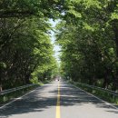 국도19호선 이미지