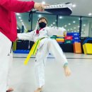 하임태권도장 네이버블로그