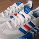 드래곤(dragon) 이미지