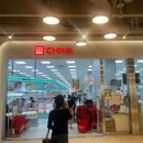 메디필약국 | 기미 잡티 크림 약국/다이소 내돈내산 후기