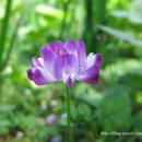 대방어린이집 이미지