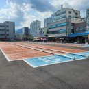 마산수산시장 이미지