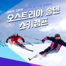 배호성스키아카데미
