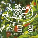 📢월요일 특가이벤트 📢태국 골드망고 3개 10,000원, 📢블루베리 3팩 10,000원, 📢금실꼬마딸기 1kg 10,900원 이미지