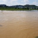 백제문화제 행사장 이미지