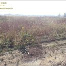 노성2리마을회관 이미지