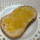 꿋꿋한농원 이미지