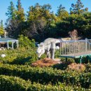 미로월드 이미지