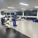 드림바디 유도클럽 월평관 이미지