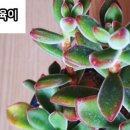 금환농원 네이버블로그