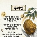 권병대 목사 시 "두리안" 이미지