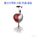 정광사수퍼