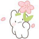 미소펫 이미지