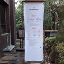 제주 서부 여행, 6박 7일, 1일차. 동백꽃 명소 카멜리아힐. 야자수 길 트로피카나.