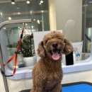 Mong's(몽'스) 이미지