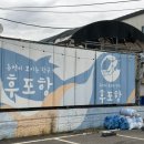 신흥호 | 강화도 후포항 밴댕이회 맛집 신흥호 내돈내산 후기