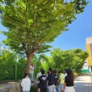 모산초 5/30 이미지