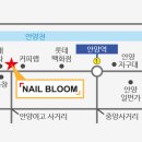 네일블룸(Nail Bloom) 네이버블로그