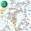 아울렛홈마트 이미지