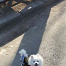 카페 꼬미꼬미 이미지