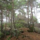 오도산 자연휴양림 이미지